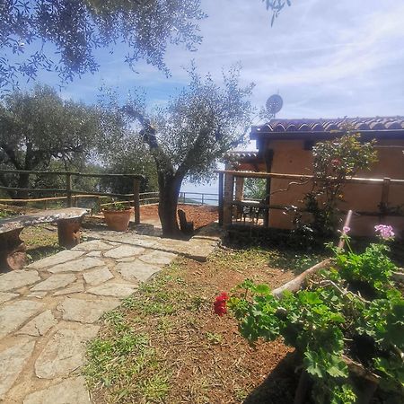 Le Casette Di Nino Marina di Camerota Kültér fotó