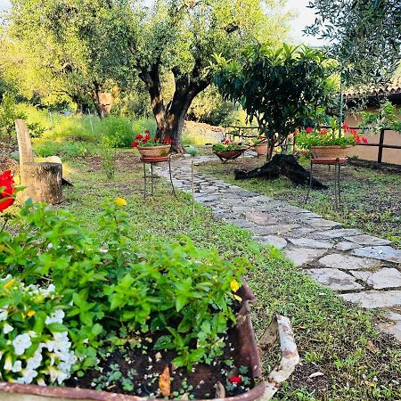 Le Casette Di Nino Marina di Camerota Kültér fotó