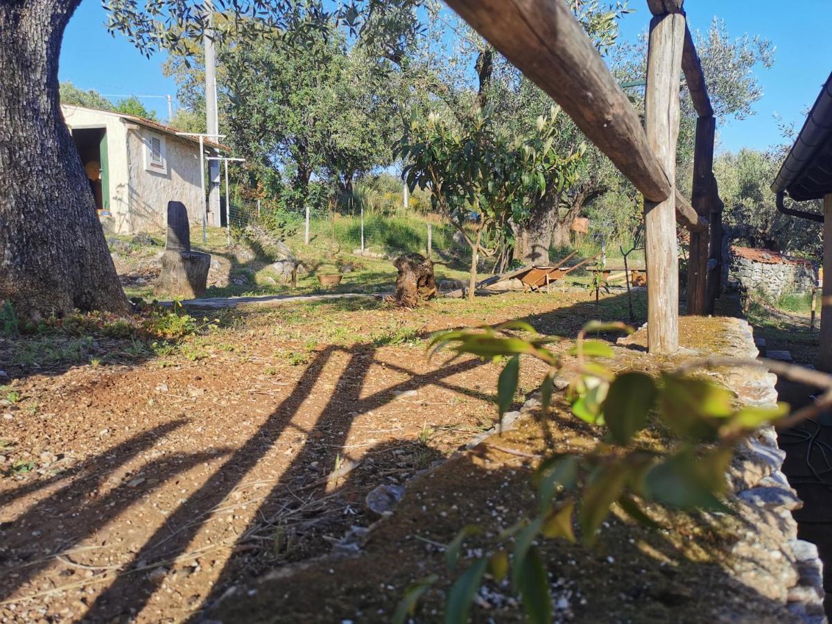 Le Casette Di Nino Marina di Camerota Kültér fotó