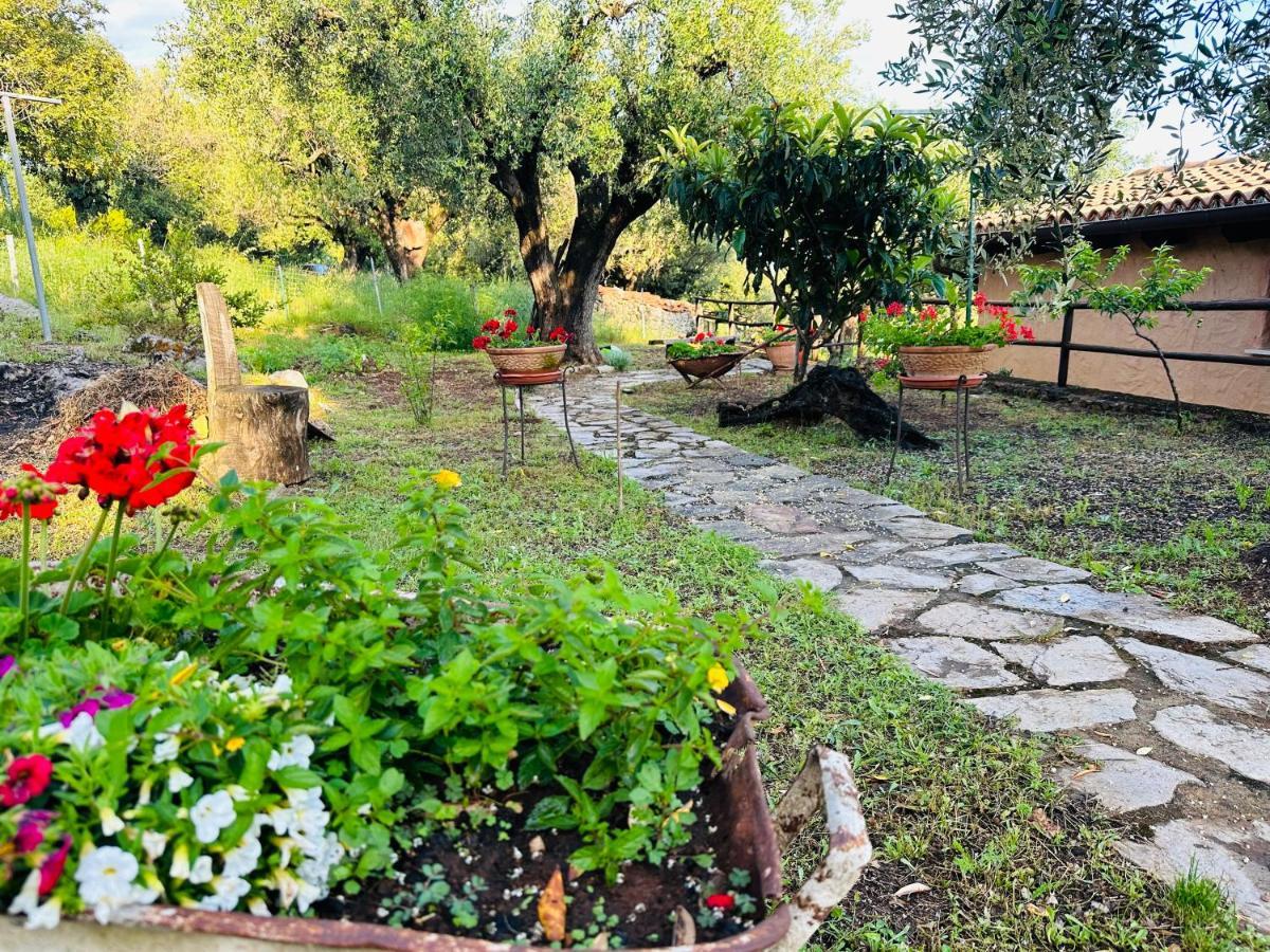 Le Casette Di Nino Marina di Camerota Kültér fotó