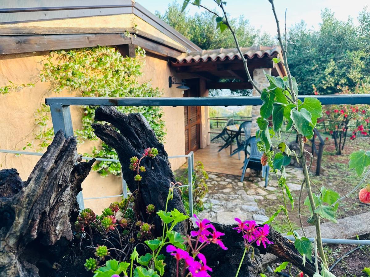Le Casette Di Nino Marina di Camerota Kültér fotó