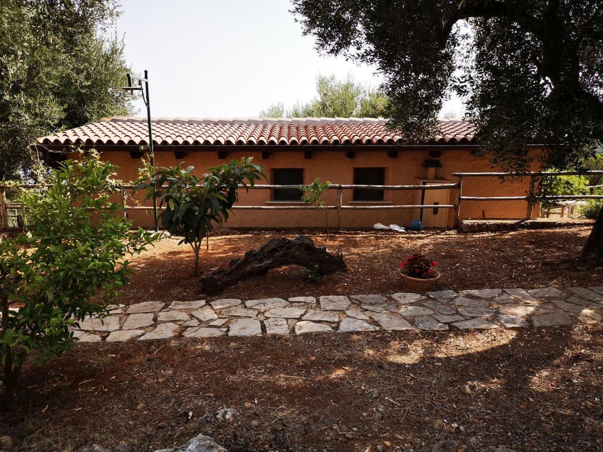 Le Casette Di Nino Marina di Camerota Kültér fotó